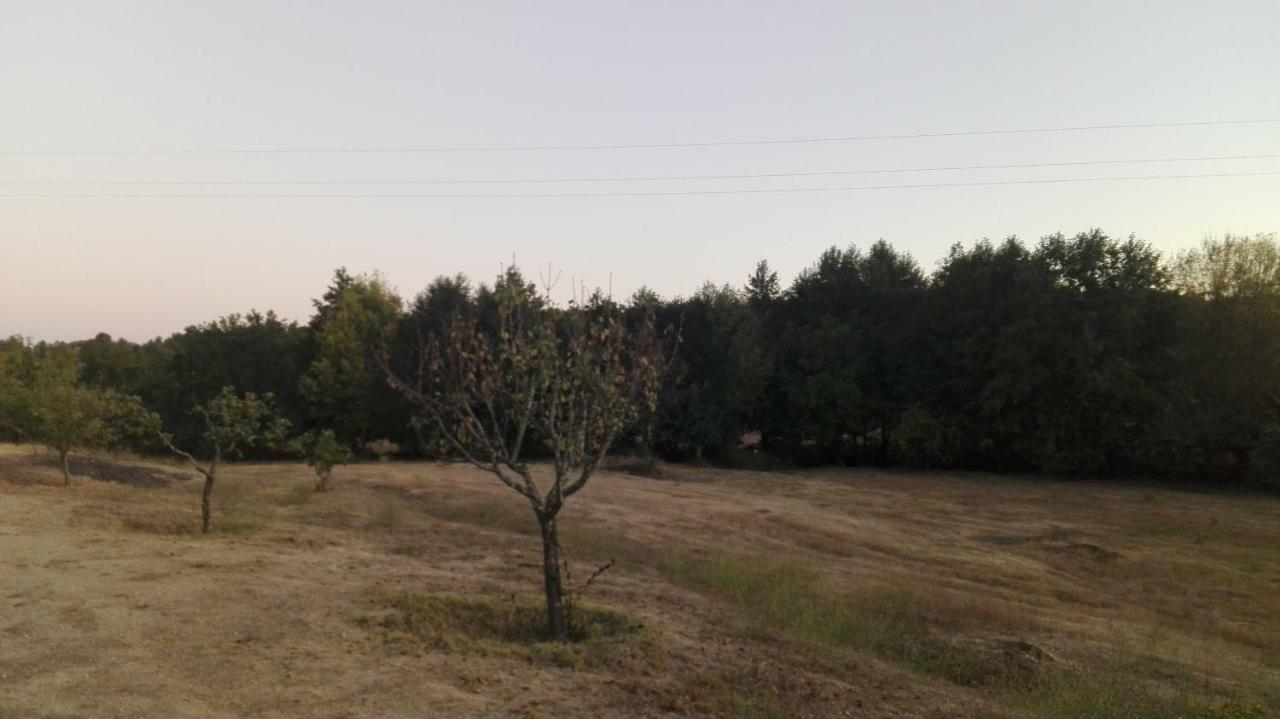 Casa De Malhoes Vilares Zewnętrze zdjęcie